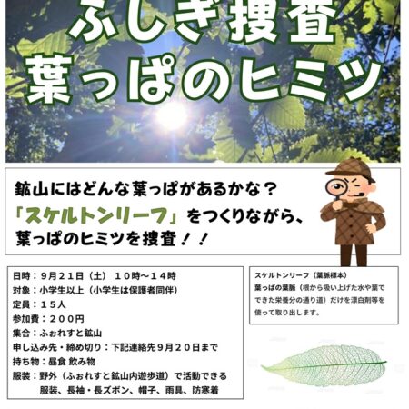 KoNG主管ふしぎ捜査～葉っぱのヒミツ – 登別市ネイチャーセンター ふぉ